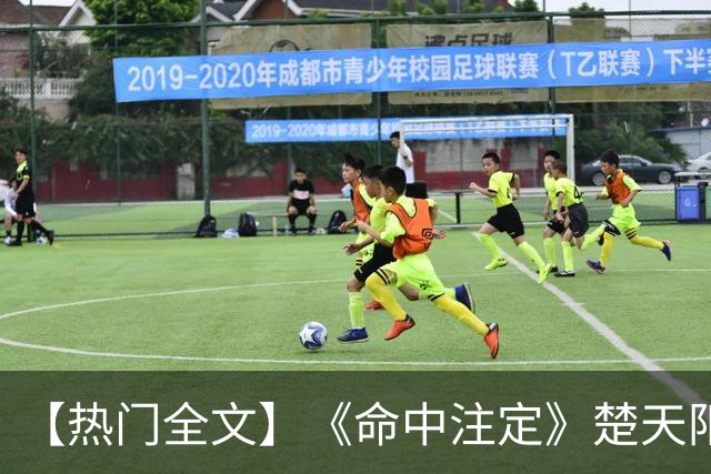 【热门全文】《命中注定》楚天阳瞎子（我叫楚天阳，是一个会中医的瞎子，现在我正耳朵贴在门上）