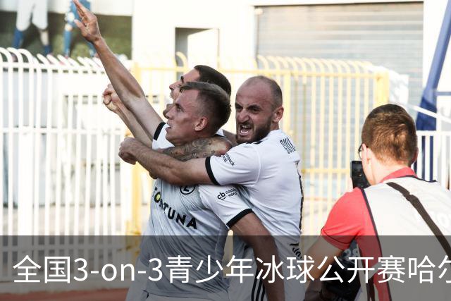 全国3-on-3青少年冰球公开赛哈尔滨赛区比赛收官-国际在线