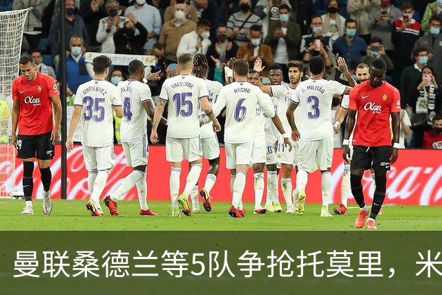 曼联桑德兰等5队争抢托莫里，米兰愿套现