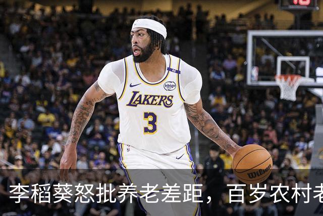 李稻葵怒批养老差距，百岁农村老人不该被时代辜负