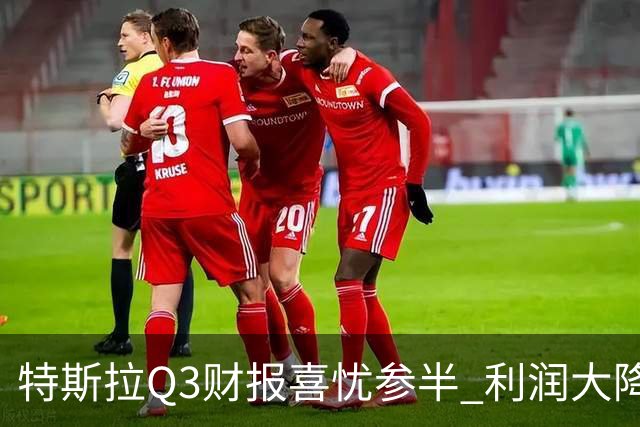 特斯拉Q3财报喜忧参半 利润大降56% 马斯克立下flag：2030年年产500万辆