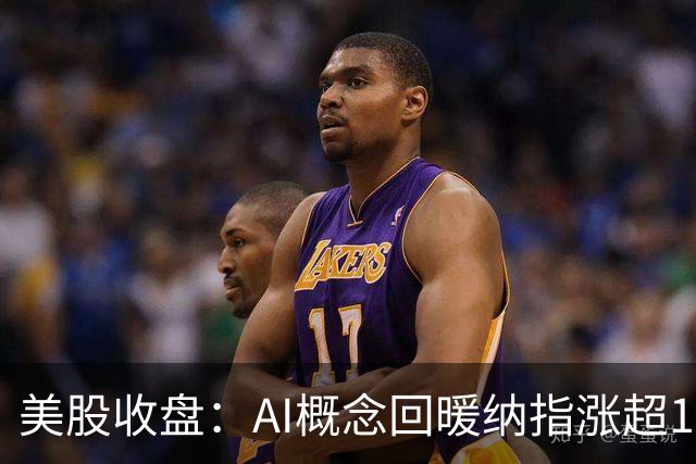 美股收盘：AI概念回暖纳指涨超1% 存储、芯片板块明显反弹
