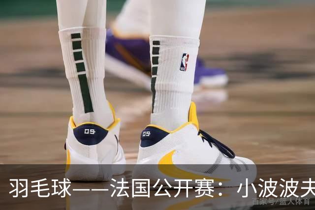 羽毛球——法国公开赛：小波波夫男单夺冠