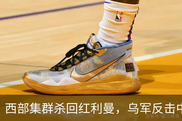 西部集群杀回红利曼，乌军反击中套了 ，空降兵反攻扎波罗热失地