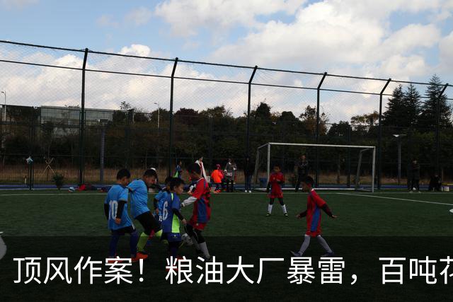 顶风作案！粮油大厂暴雷，百吨花生毛油藏强致癌物，海关两次拦截