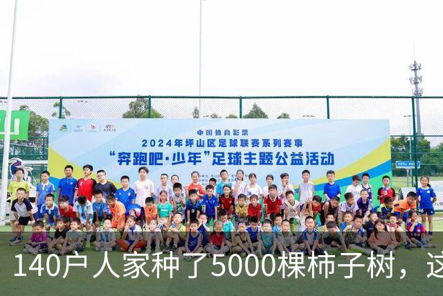 140户人家种了5000棵柿子树，这个浙江小村国庆6天来了8万人